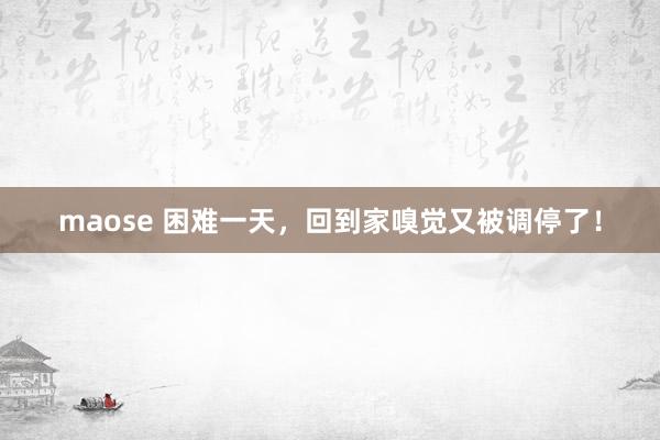 maose 困难一天，回到家嗅觉又被调停了！