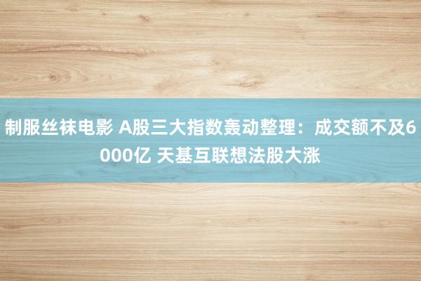 制服丝袜电影 A股三大指数轰动整理：成交额不及6000亿 天基互联想法股大涨