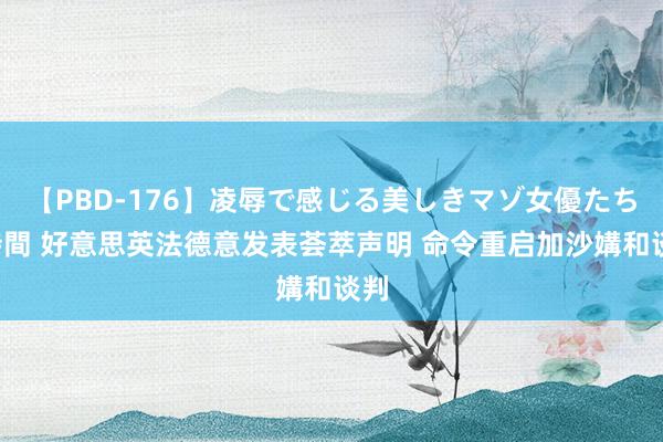 【PBD-176】凌辱で感じる美しきマゾ女優たち8時間 好意思英法德意发表荟萃声明 命令重启加沙媾和谈判