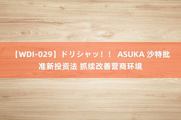 【WDI-029】ドリシャッ！！ ASUKA 沙特批准新投资法 抓续改善营商环境