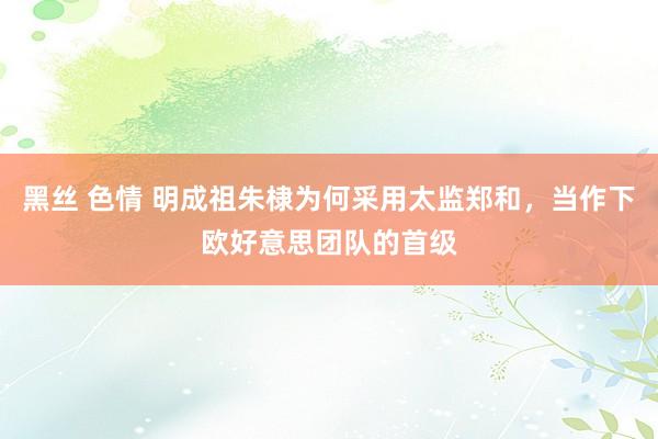 黑丝 色情 明成祖朱棣为何采用太监郑和，当作下欧好意思团队的首级